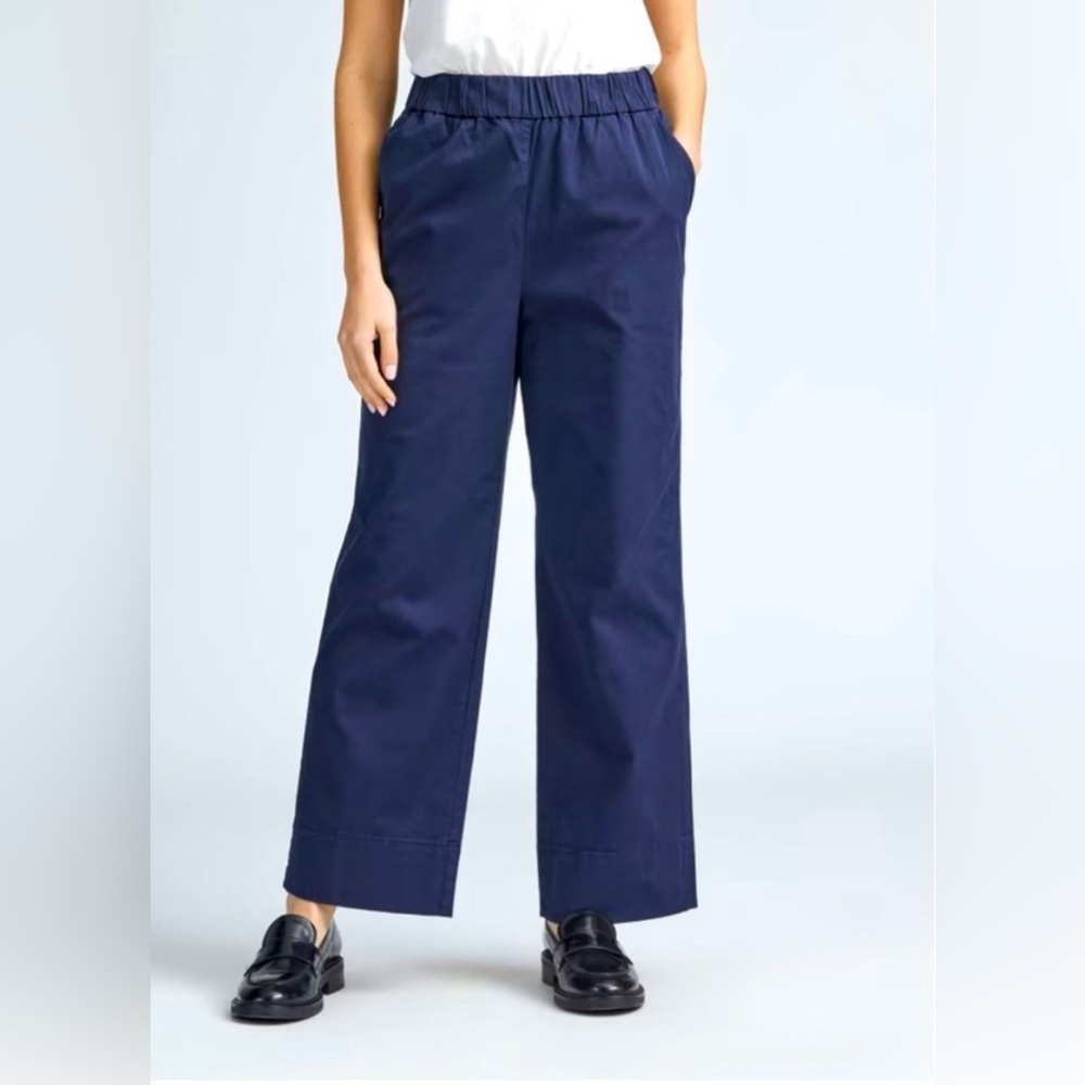 Everlane Easy Pant Navy